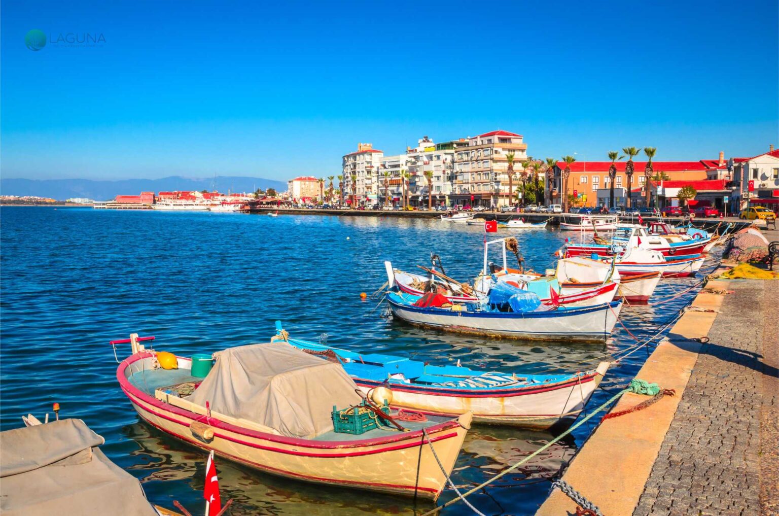 Ayvalık Kamp Alanları Ücretli Ücretsiz Camping