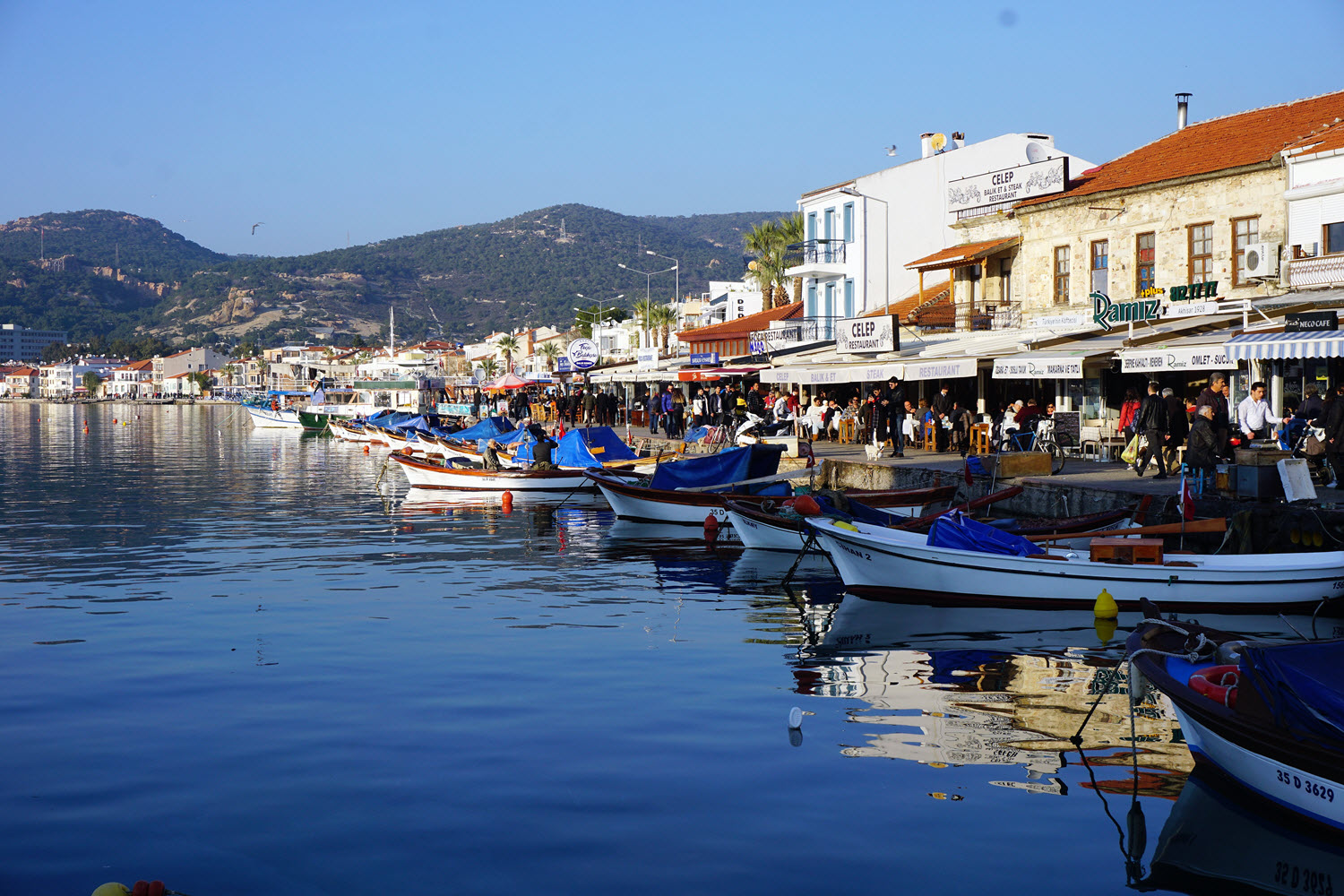 Foça Kamp Alanları Ücretli Ücretsiz Camping