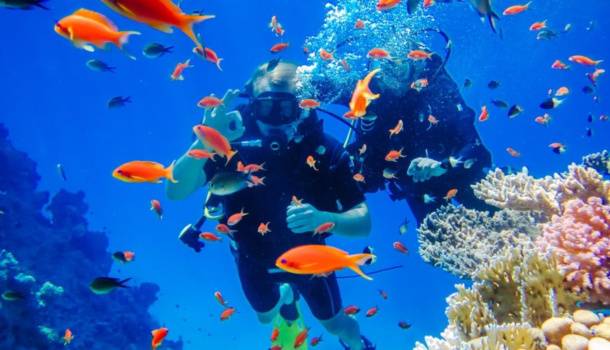 dalış yapmadan önce bilmeniz gerekenler