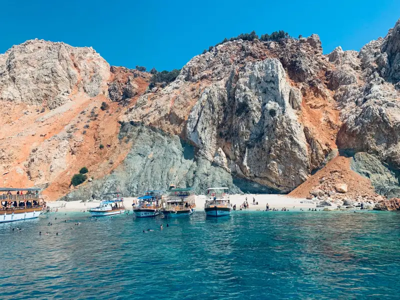 adrasan amerikan koyu